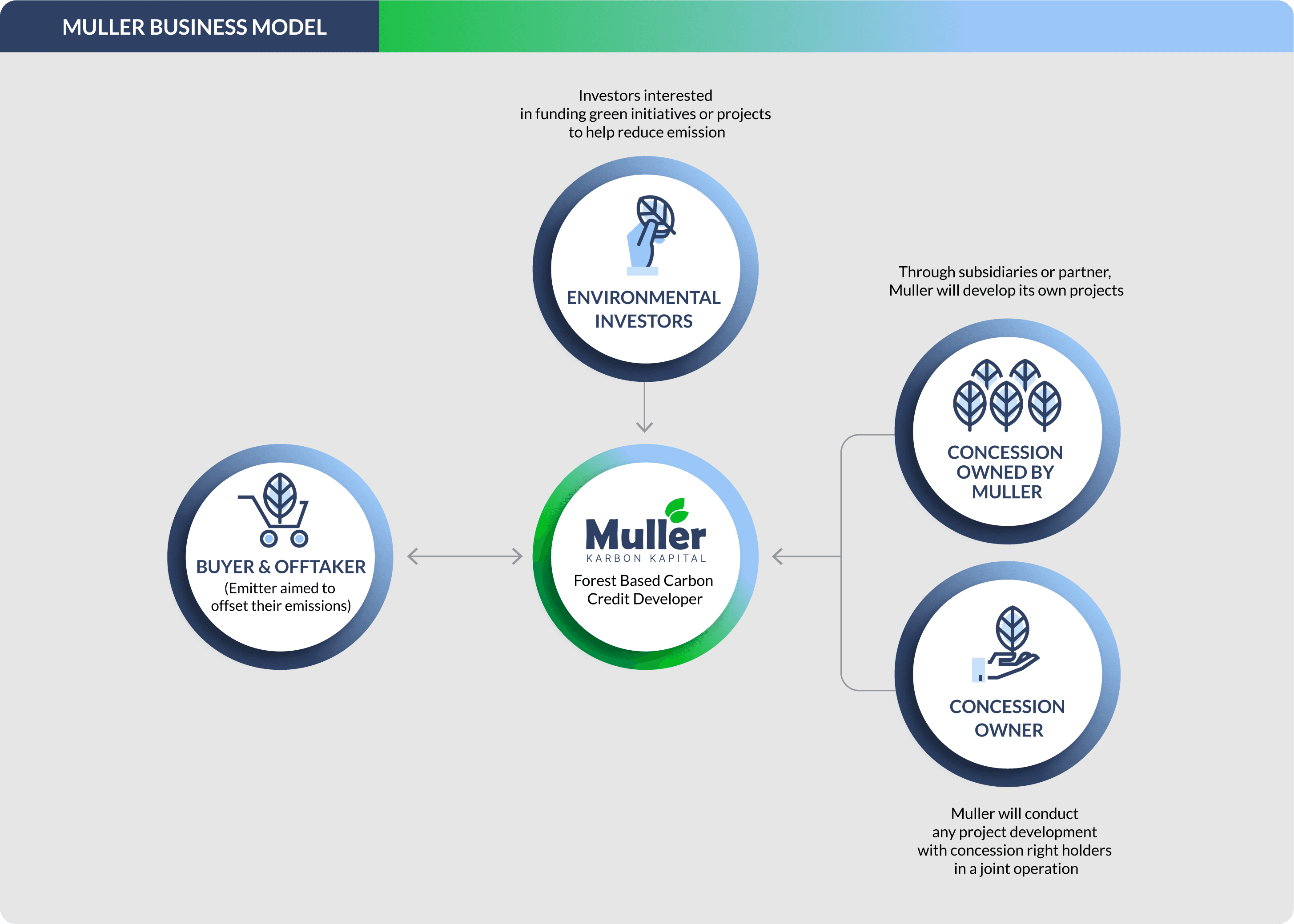 muller diagram