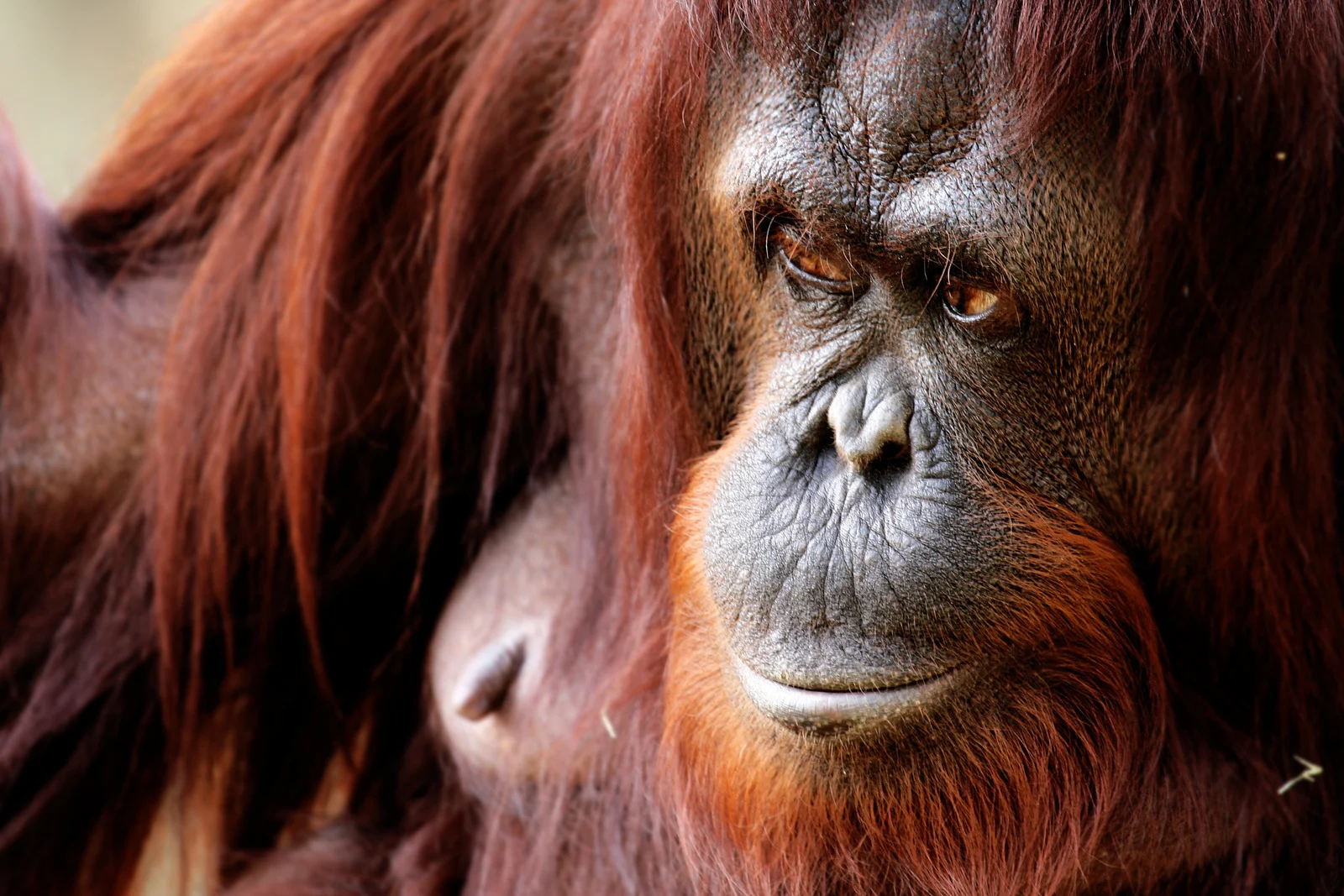 Preserving Nature and Biodiversity 